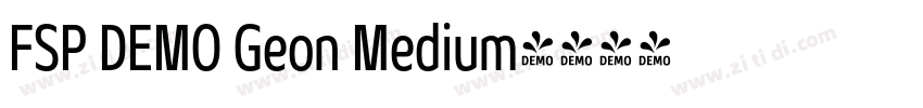FSP DEMO Geon Medium字体转换